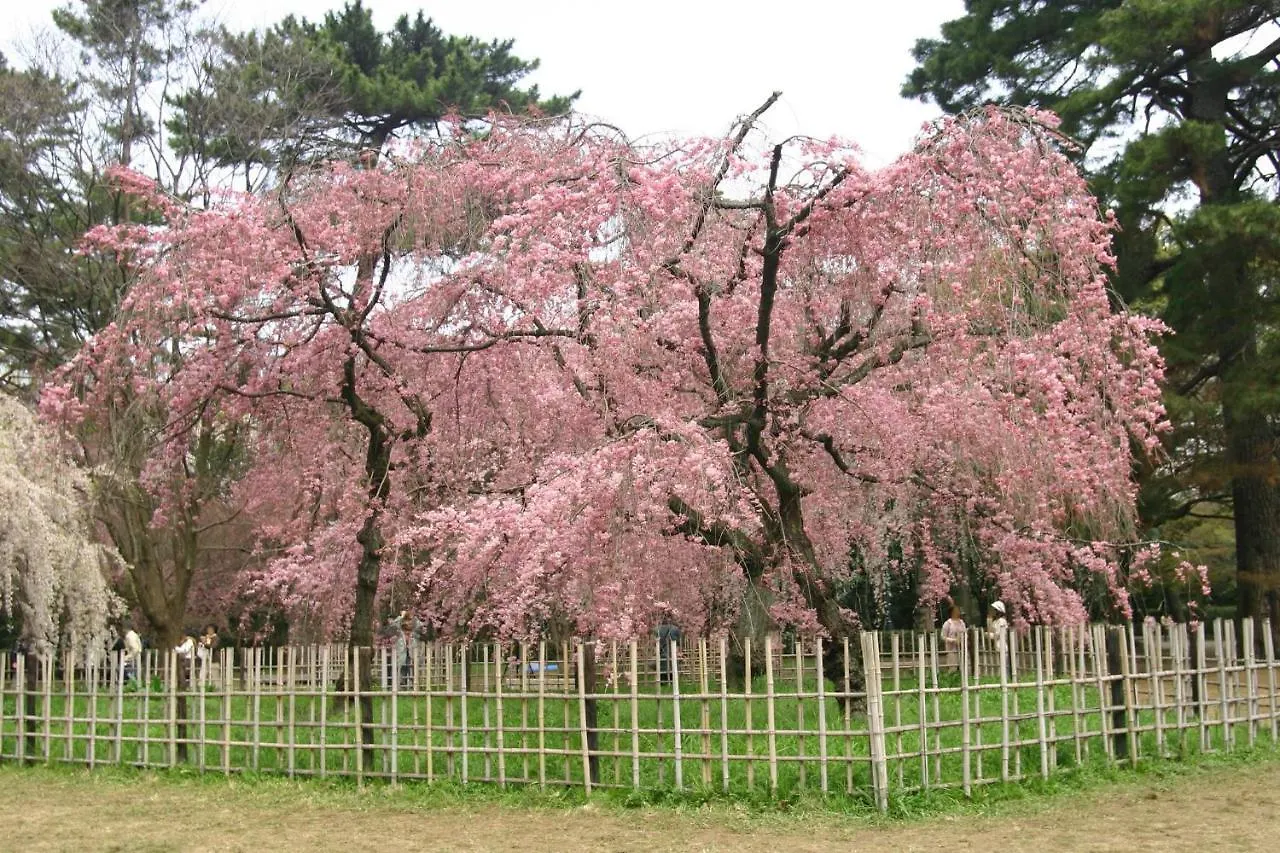 Rejoice Stay Kyoto Nijo Gekko 3*,  Japan