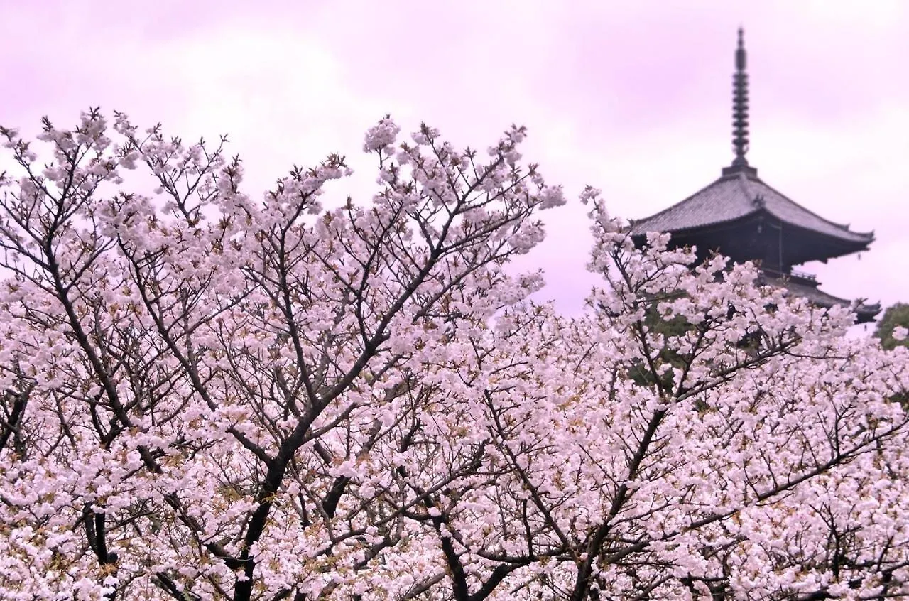 *** Aparthotel Rejoice Stay Kyoto Nijo Gekko Japan