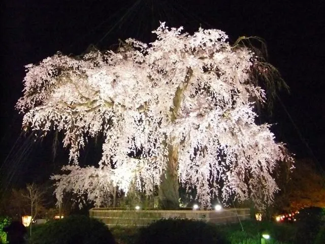 Rejoice Stay Kyoto Nijo Gekko